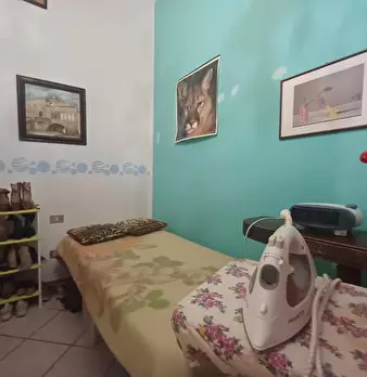 Foto annuncio 11