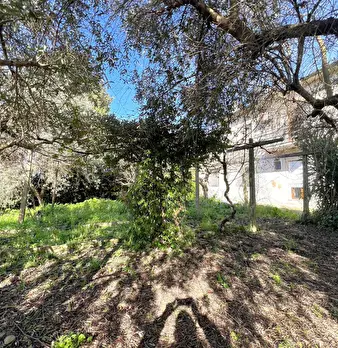 Foto annuncio 28