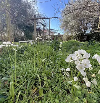Foto annuncio 29
