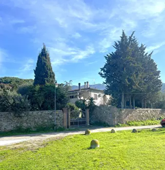 Foto annuncio 2