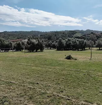 Foto annuncio 50