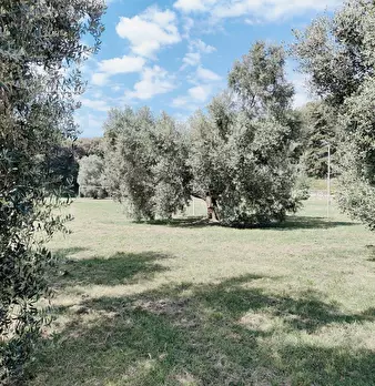 Foto annuncio 51