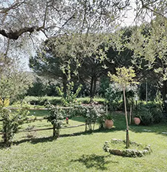 Foto annuncio 49