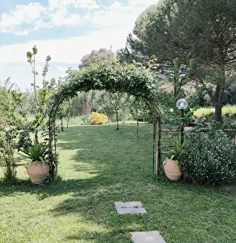Foto annuncio 48