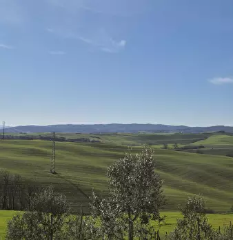 Foto annuncio 46