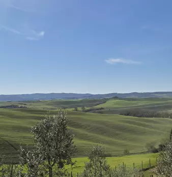 Foto annuncio 41