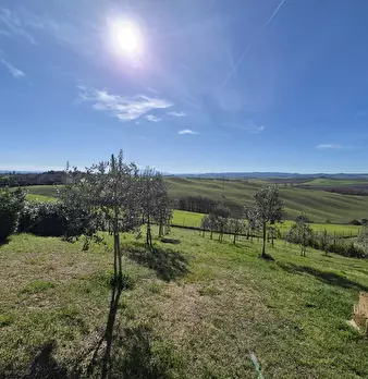 Foto annuncio 37