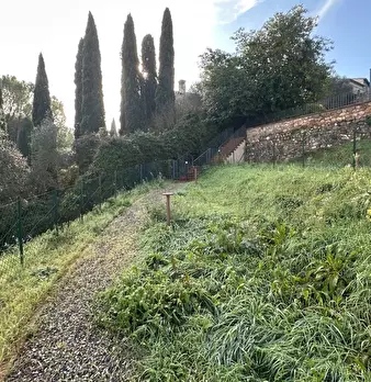 Foto annuncio 26