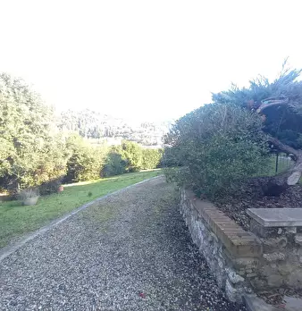 Foto annuncio 22