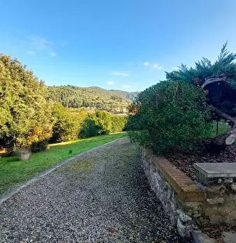 Foto annuncio 68