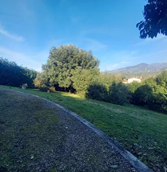 Foto annuncio 30