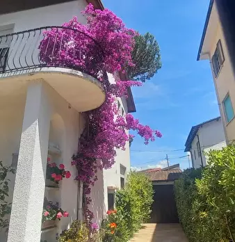 Foto annuncio 3
