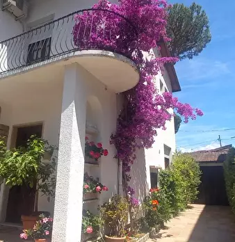 Foto annuncio 5