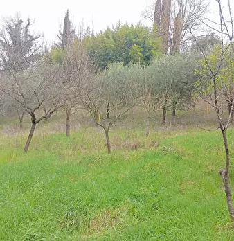 Foto annuncio 44
