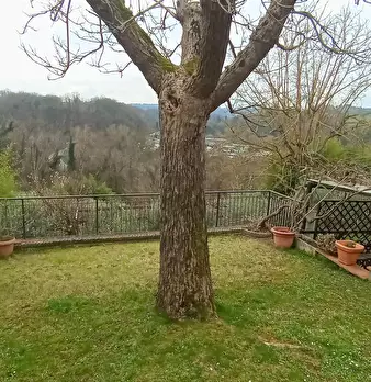 Foto annuncio 31