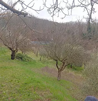 Foto annuncio 43