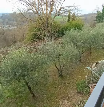 Foto annuncio 33