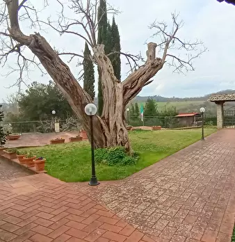 Foto annuncio 30