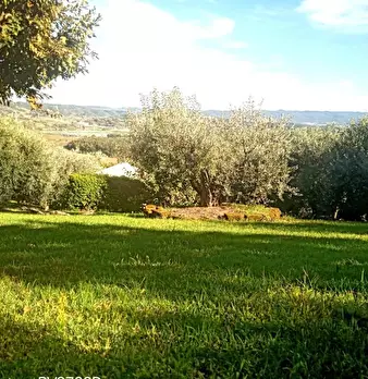 Foto annuncio 36