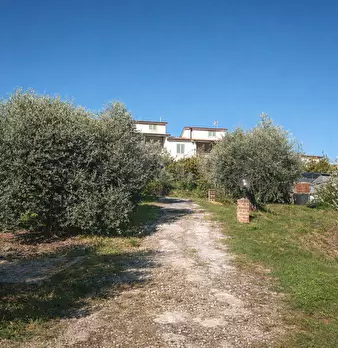 Foto annuncio 34