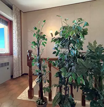 Foto annuncio 7