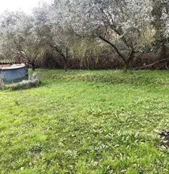 Foto annuncio 11