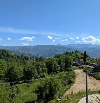 Foto annuncio 31