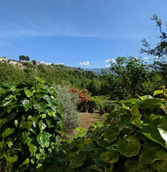 Foto annuncio 30