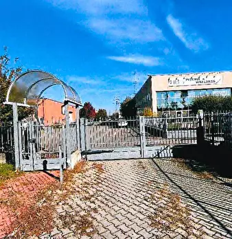 Foto annuncio 7