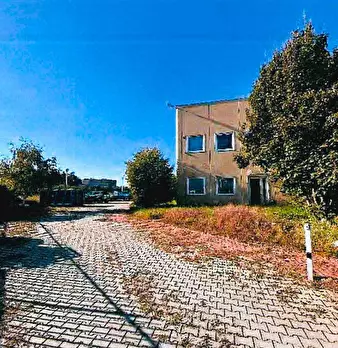 Foto annuncio 6