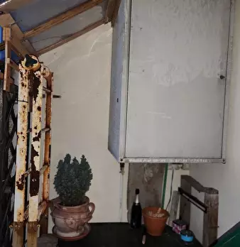 Foto annuncio 10