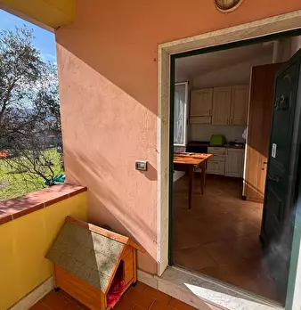 Foto annuncio 1