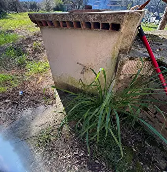Foto annuncio 38