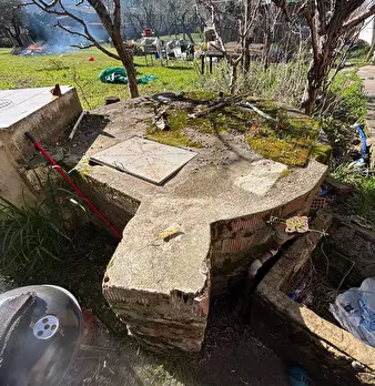 Foto annuncio 37