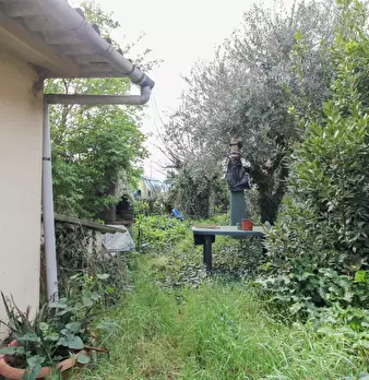 Foto annuncio 18