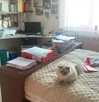 Foto annuncio 6