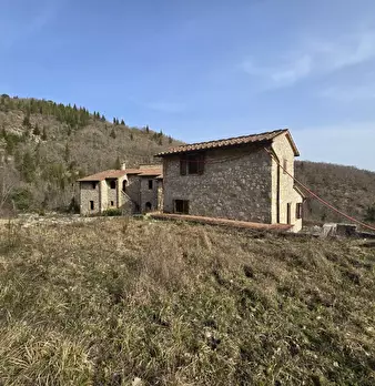 Foto annuncio 20