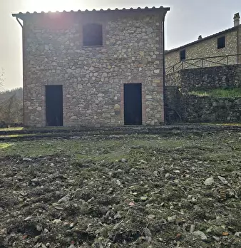 Foto annuncio 21