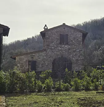 Foto annuncio 8