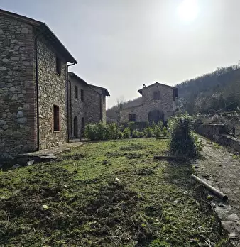 Foto annuncio 9