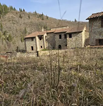 Foto annuncio 12