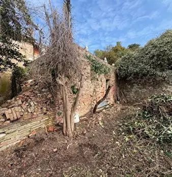 Foto annuncio 19