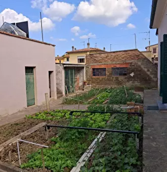 Foto annuncio 23