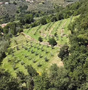 Foto annuncio 20