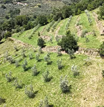 Foto annuncio 6