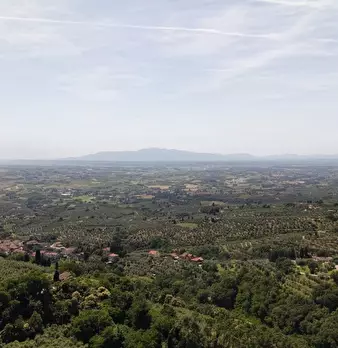Foto annuncio 48