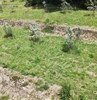 Foto annuncio 23