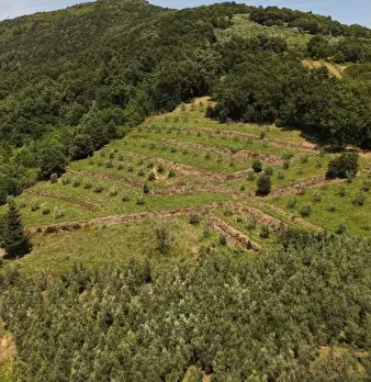 Foto annuncio 4