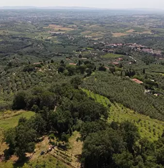 Foto annuncio 21