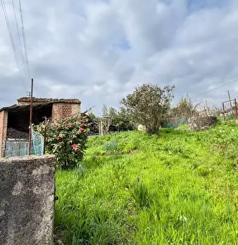 Foto annuncio 25